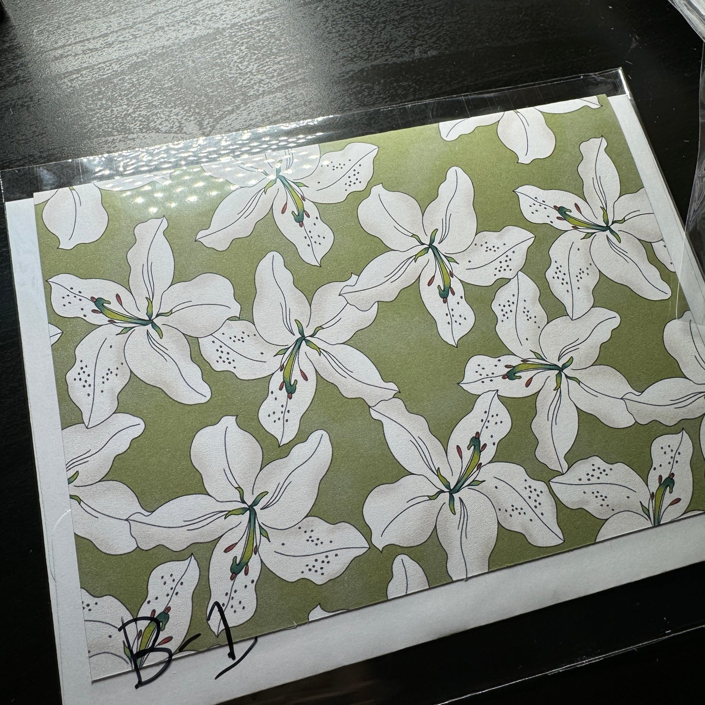 Greeting Card ~ Individual 8/1