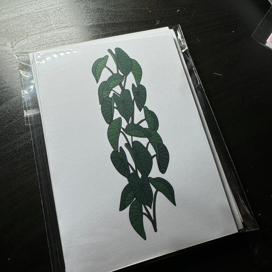 Greeting Cards ~ 4pk 8/1