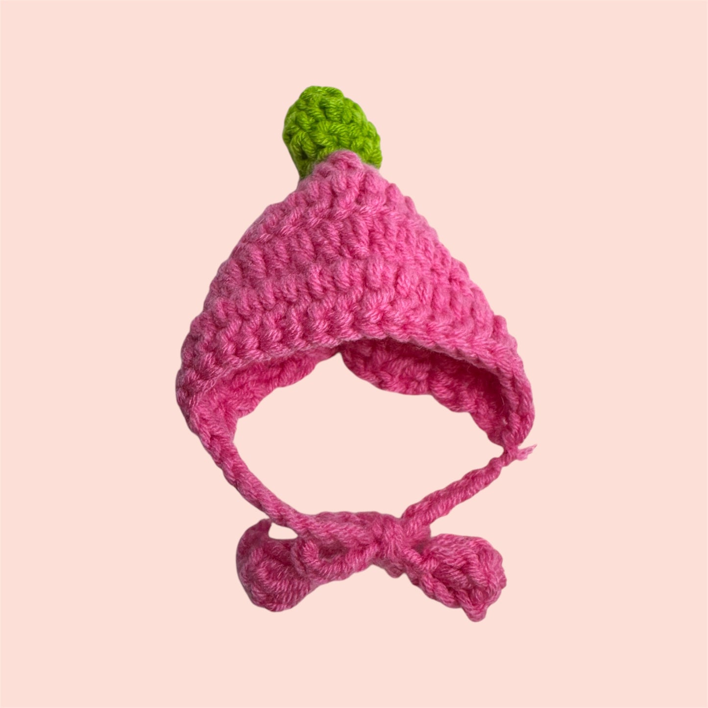 Crochet Braid Beanie