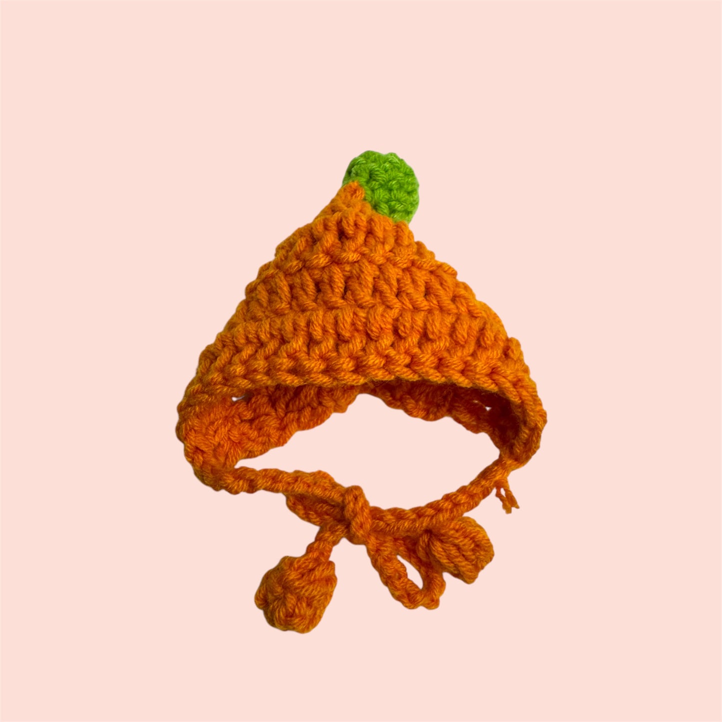 Crochet Braid Beanie